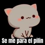 YO QUIERO ... DE ESO !!