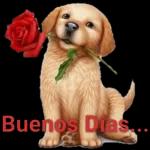 Si algo quiero enesta vida es:ser feliz contigo.Te elijo a tir