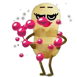 www