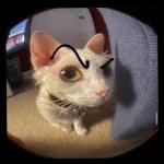 walaikumussalam kepada yang memberi salam