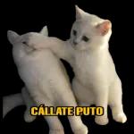 Gatitos 2