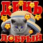 люблю