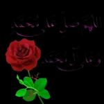 آمین آمین وإياك ياغالية