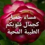 صباح الخير
1370
Jea
صباح
القلوب
الصافية
صباح الرواق