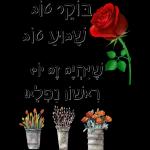רועי 2