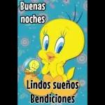buena noche