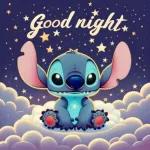 Stitch's lovely night