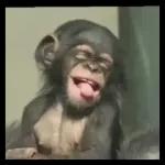 Besos en el