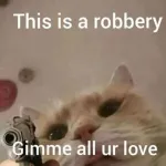 Marry meow? I love you