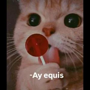 -Ay equis - getsticker.com