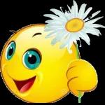 emoji expression package