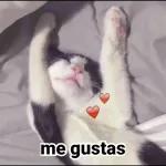 ⭐