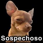 @lexa Mejor callate!