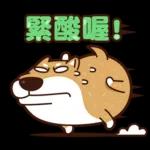 我是你的柴 2