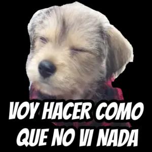 Voy hacer como que no vi nada - getsticker.com