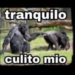 TE LO ANDAS COGIENDO?