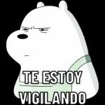 TE ESTOY VIGILANDO