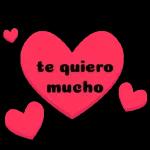 tqm my love