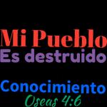 Pack 166