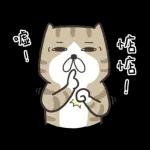 白爛貓☆第１３彈☆ 