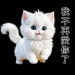 白色的貓尤其可愛