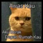 SUNYI JER
GROUP
TERNET ABIS KER ?