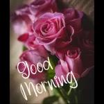 good morning
