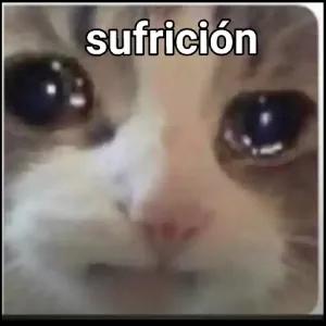 xewmHK