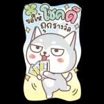 โอเด้ง: สุนัขตลก