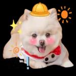 下雨了，要注意安全！