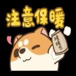 米犬日常 - 冬至篇