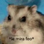 que miras bobo