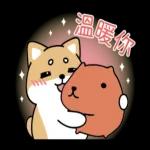 柴語錄 X 水豚君-