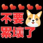 可愛柯基- 實用日常用語