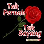 Tak
Pernah
Tak
Sayang
PIEZAMIERZA