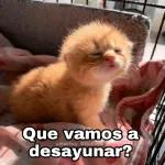 que chistoso