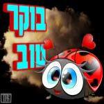 הודיה מדבקות