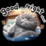 Funny Cat Stickers
