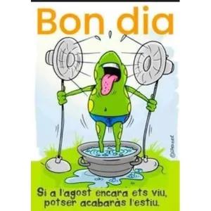 ncdwqn