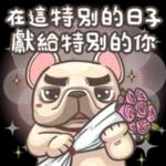 在這特別的日子，獻給特別的你