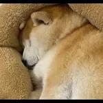 Qué se sentirá ser feo?