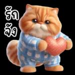 แมวขี้โมโหในชุดนอนสีอ่อน