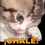 1
Keanu.<3
Estás bien carnal?