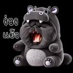 แมวดำ ฮิปโปแคระ