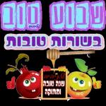 שנה