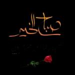 صباح الورد