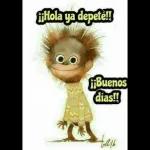 Me gritaste