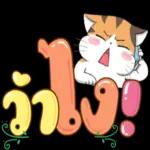 ชบา ” ไม่เคย อิจฉา.. “กุหลาบ ”