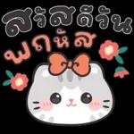 แมวมาร์คัส V.3 : HNY