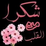3
ماليك